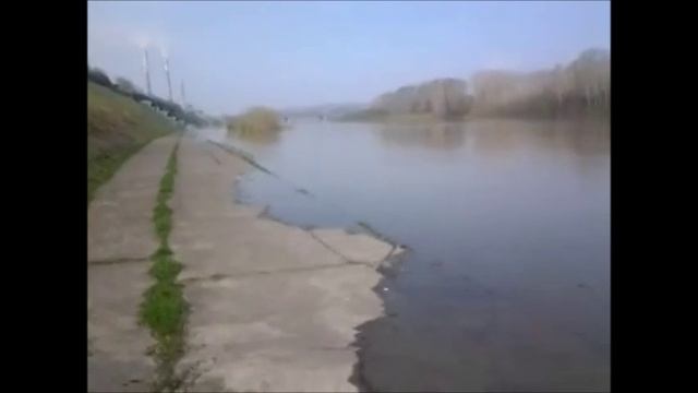 Савин Виталий-Она дарована мне Богом.