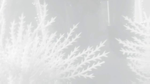 1000074459.mp4