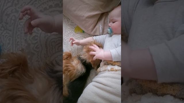 Филя ласкается с Максом