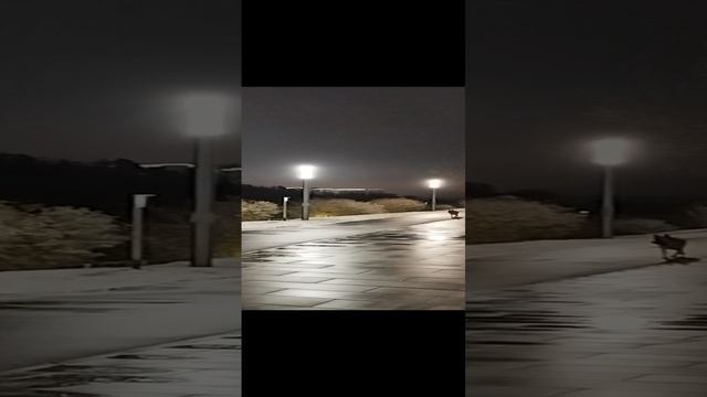 Утренняя Сонастройка на единство с жизнью