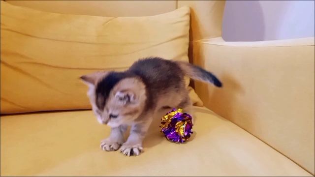 1000017478.mp4