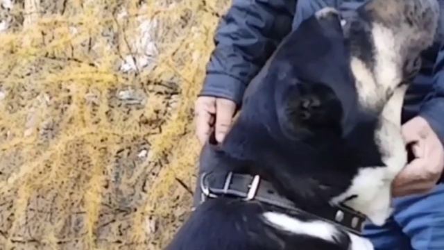 Знакомьтесь, - наши гостьи турткузы Таджикистана.