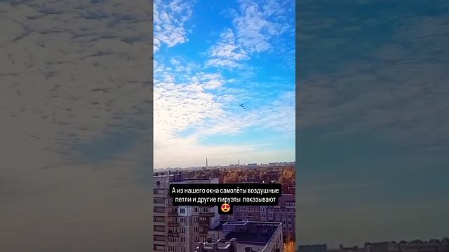 стрижи