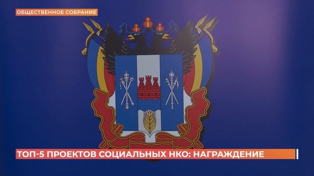 Топ-5 проектов социально ориентированных некоммерческих организаций названы в РО