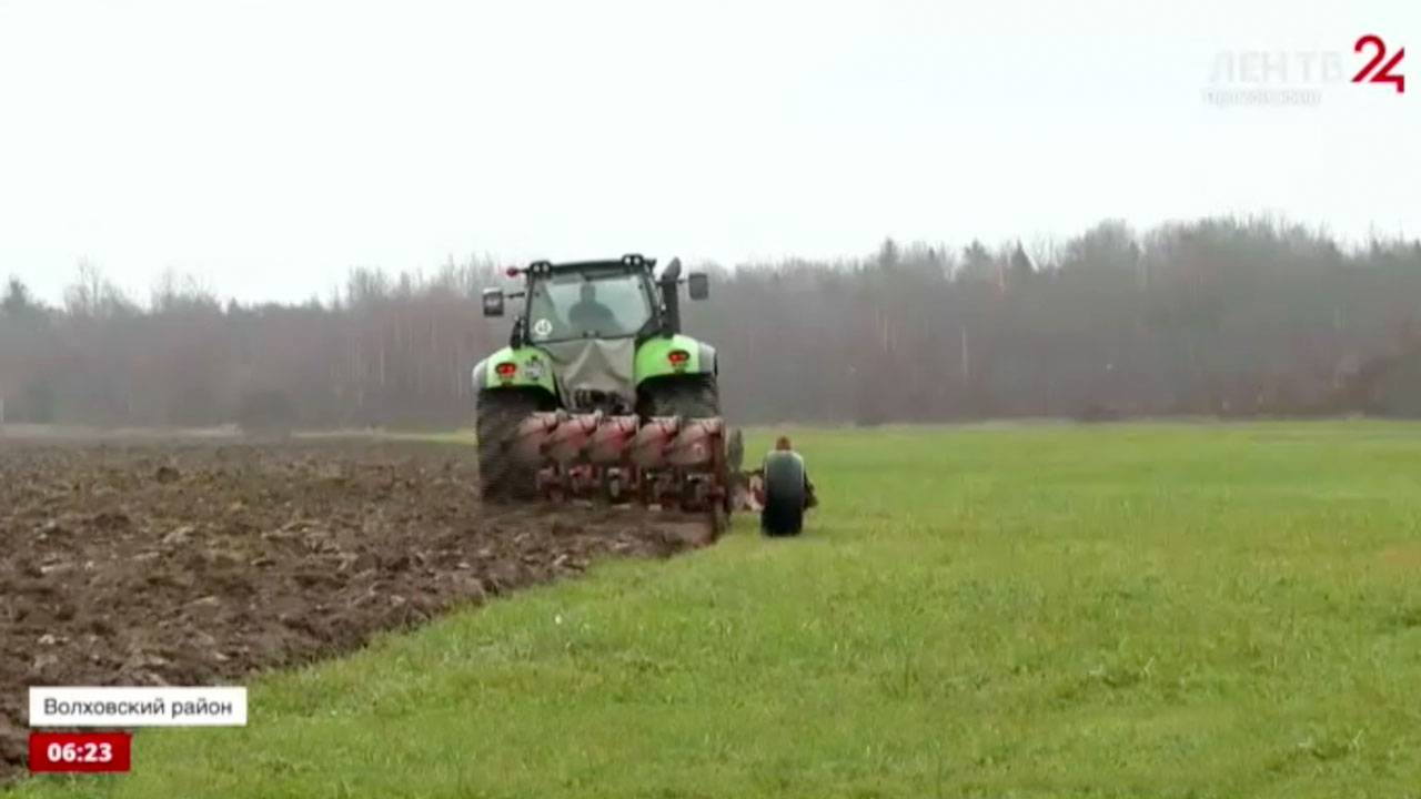Репортаж телекомпании ЛенТВ24 о Племенном заводе "Мыслинский"