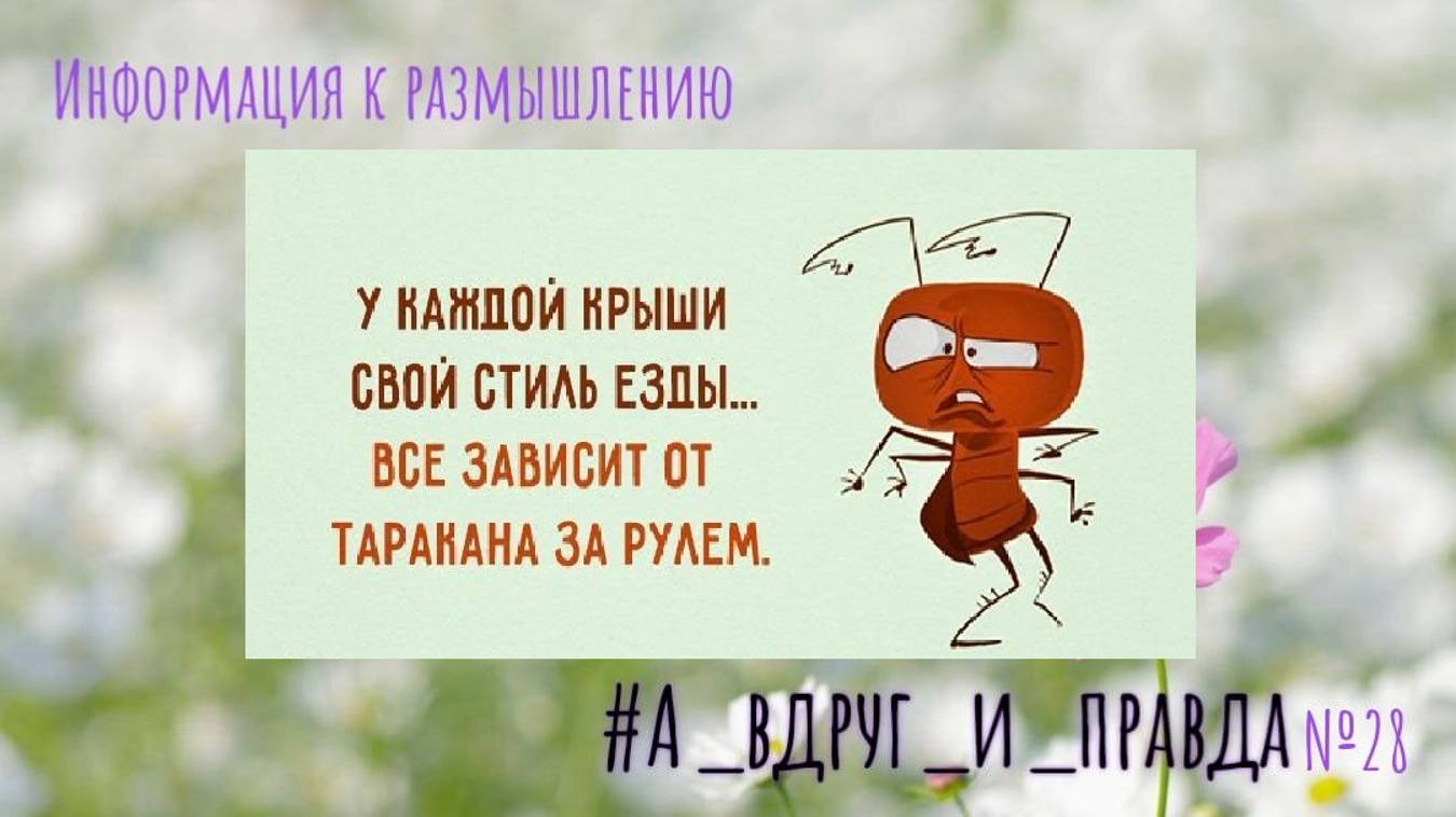 Шторм после Пробуждения