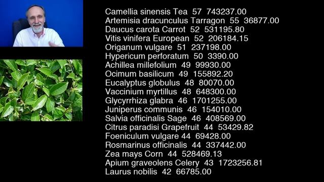 Antibióticos naturales