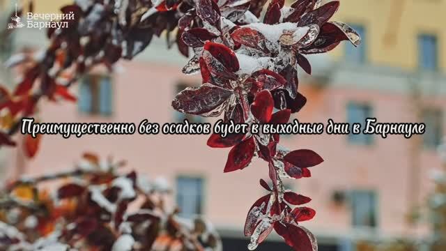 Преимущественно без осадков будет в выходные дни на территории Барнаула