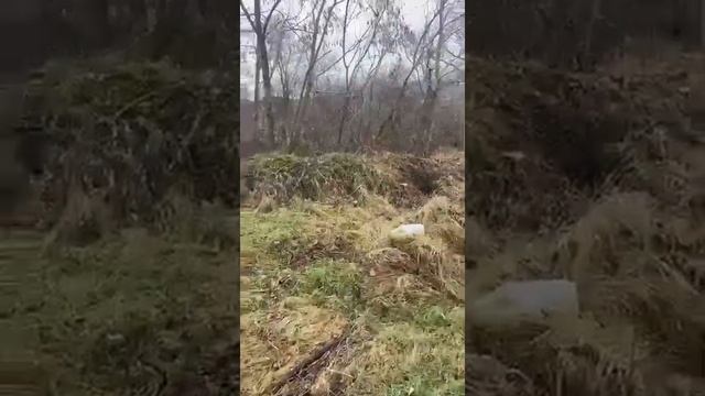Мост извлекли из реки и перевезли к месту установки