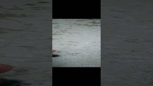 1000026001.mp4