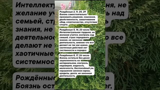 Что ворует ваши 💰💰💰💰💰💰💰