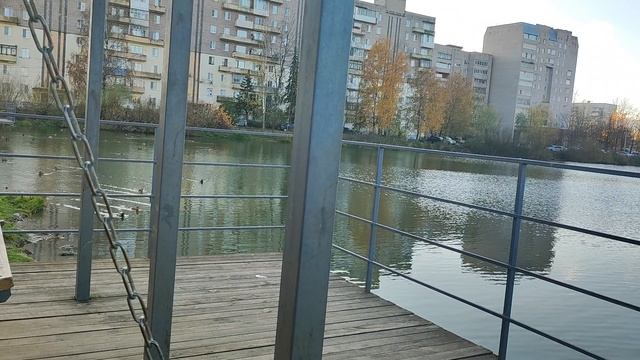 Прогулка с детьми. 27-10-2024 🦆🍁 Из архива