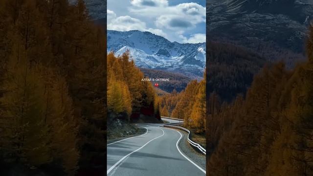 Осень в горах Алтая. Россия