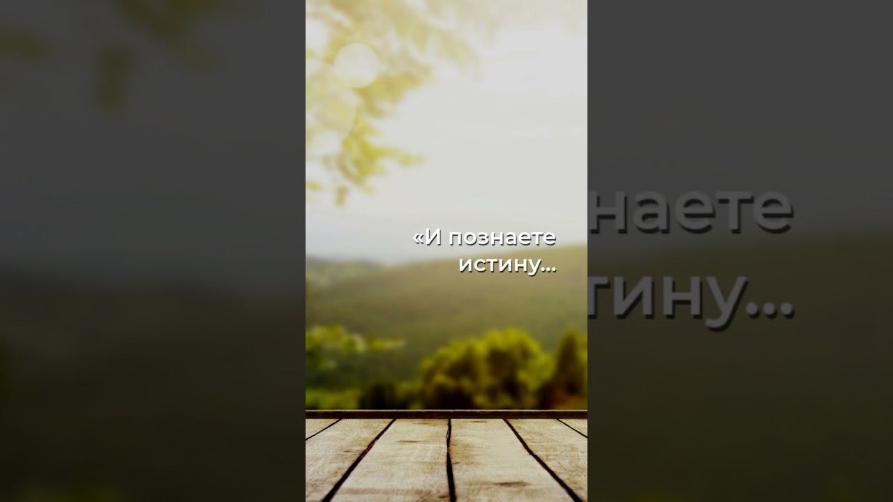«Умопомрачительная истина, которая разъярит ваш разум!»