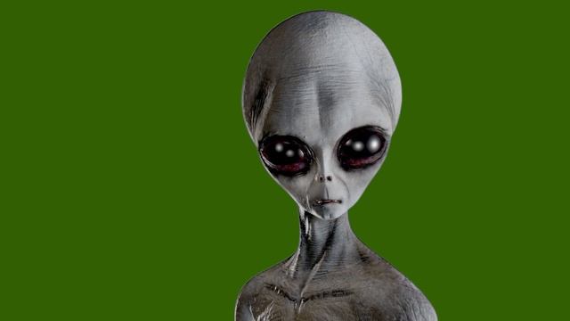 ИН Пл-1