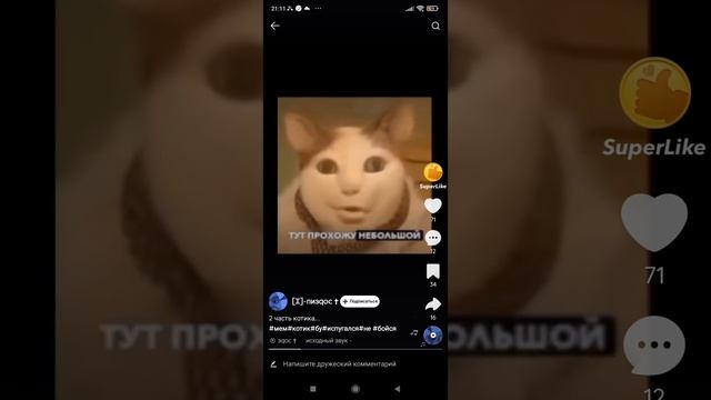 Screenrecorder-2024-11-06-21-10-38-680.mp4