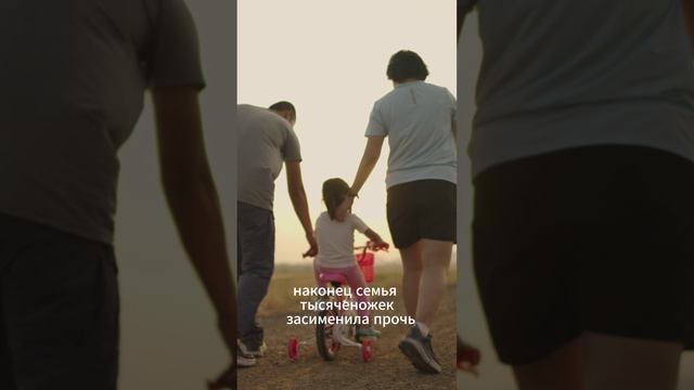 Джанни Родари - "Приключения Чиполлино". Глава 3.