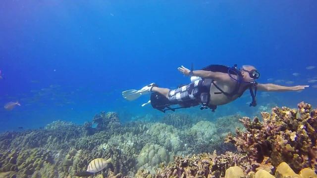 Scooter Diving Highlights - Kona, Hawaii