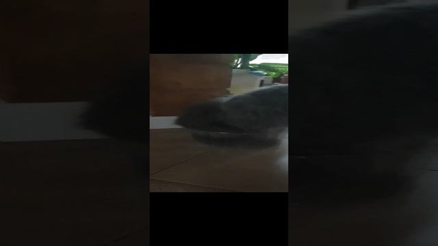 Главное залезть, неважно как.