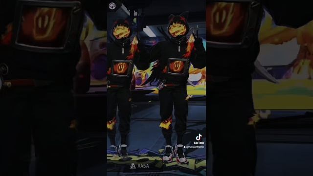 1000027441.mp4