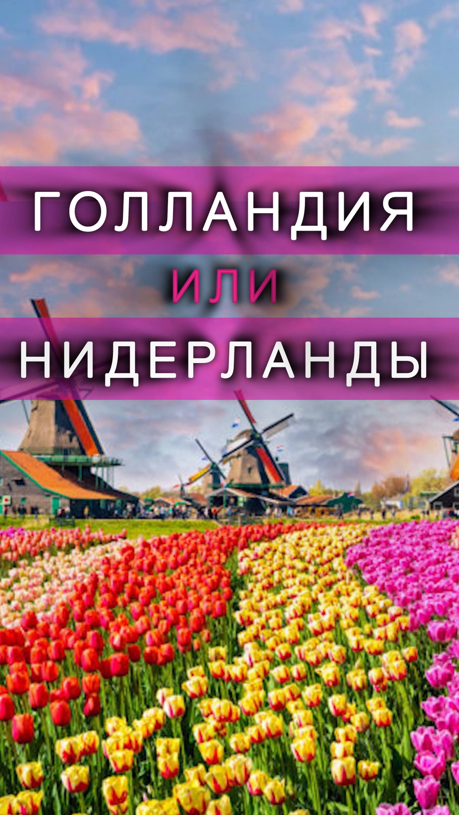 Голландия или Нидерланды?
