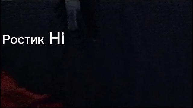 Мы гуляем с Максимом и Никитой (help me please)