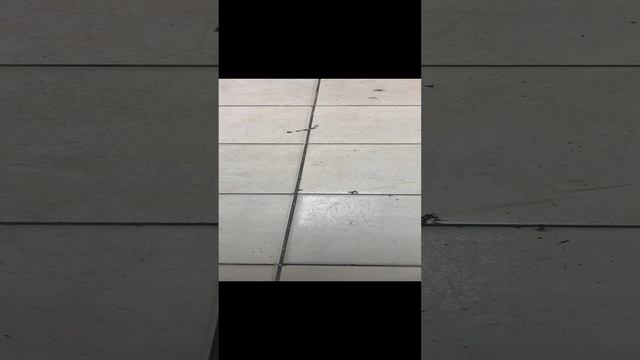 15-11-2024