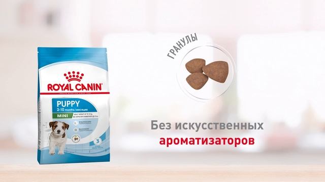 START OF LIFE PUPPY Mini