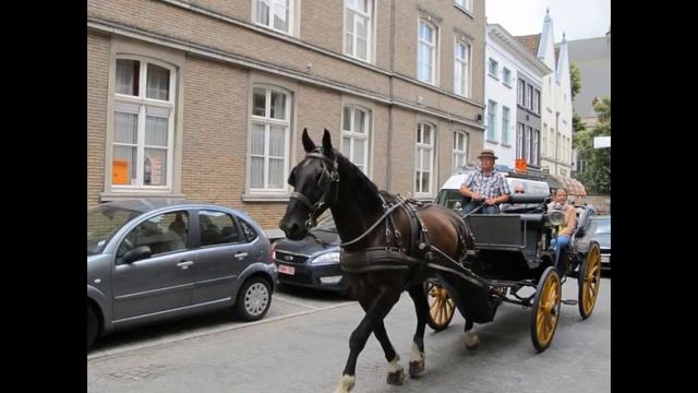 Ахенское паломничество июнь 2014 г.