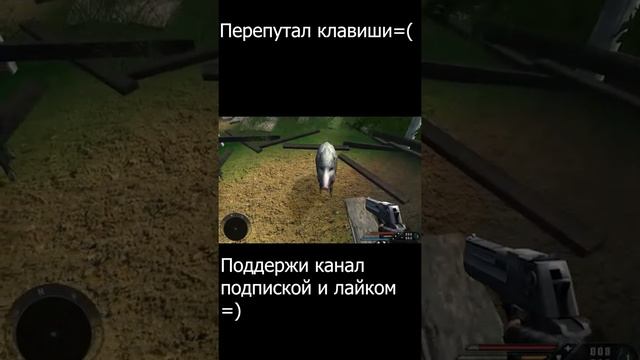 Свиней жалко (#shorts)