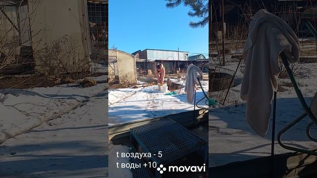 а за окном марток! 😊переходим на холодные обливания.