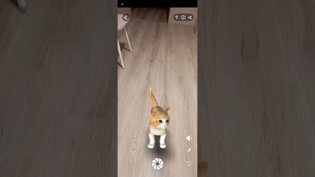 Типа приложения натуральную рассмотреть животных