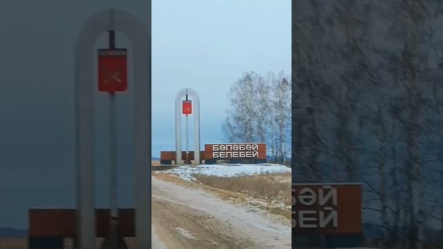 А вы какой сыр любите?