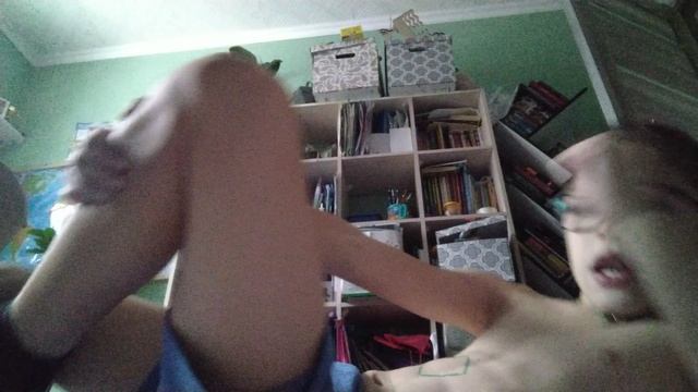 VID_20241115_132408.mp4