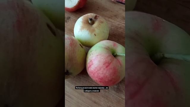 Про моль