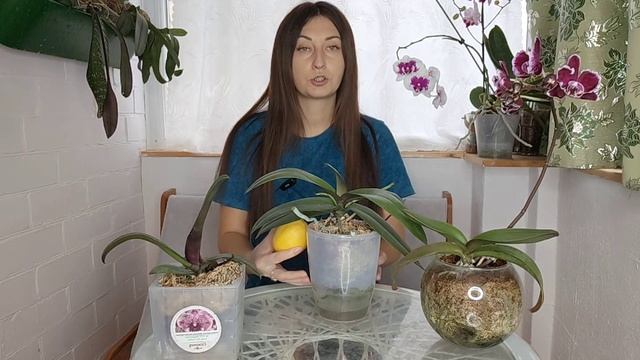 3 Лайфхака которые помогут Вам вырастить здоровые, красивые, пышно цветущие орхидеи