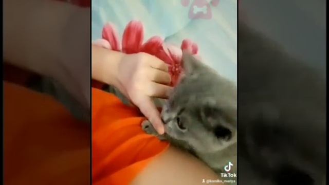 Мы друзья, верно? Верно! И мы всегда будем вместе!