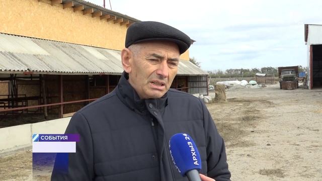 15-11-2024 Ветеринары и регистрация животных
