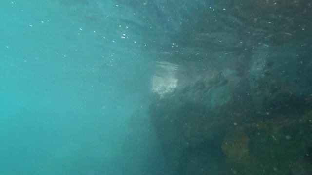 Underwater in Oman/Под водой в Омане...