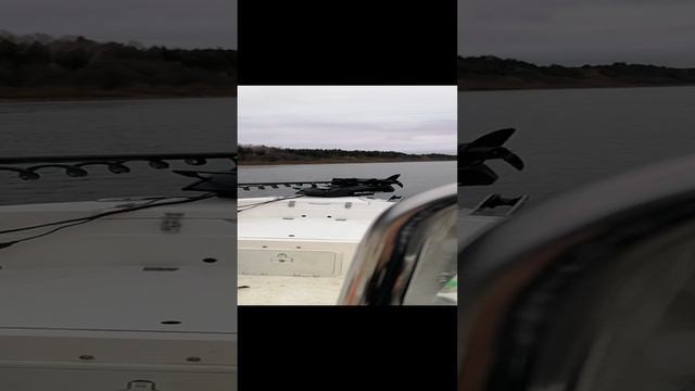 Вятка Вятские Поляны