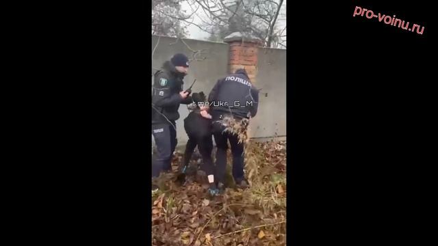 На Окраине охота на Тарасика и Мыколку продолжается.