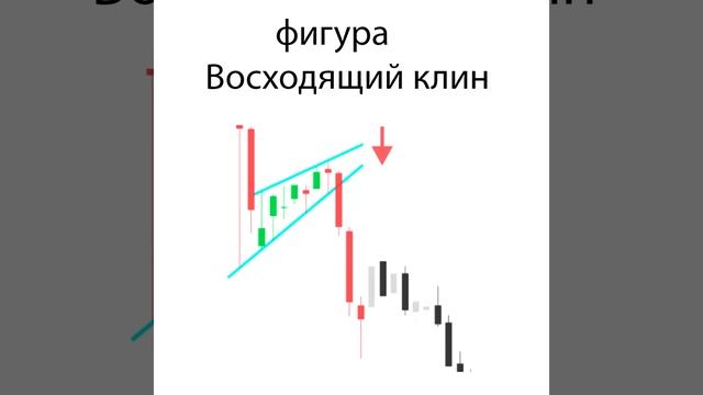 Инструменты, которые должен знать начинающий трейдер