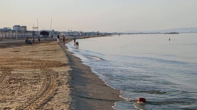 витязево сегодня пляж тортуга что с морем