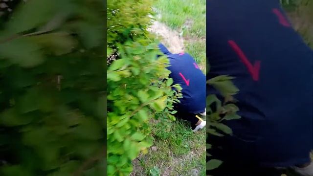 снюс был испорчен