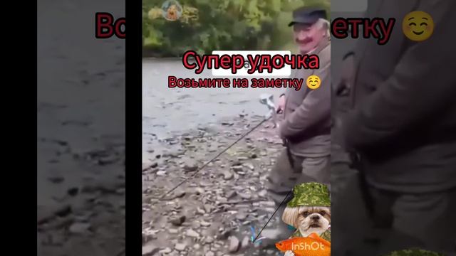 смех и грех🤣