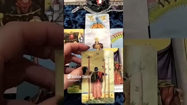 Сюрприз🎁16 ноября 2024🌈🌈🌈