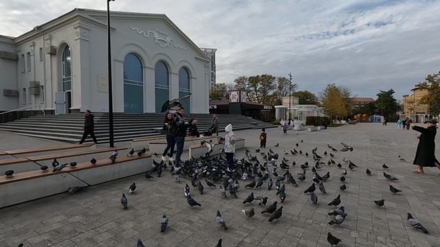 Анапа центральный пляж, Театральная площадь 15.11.2024 (5)