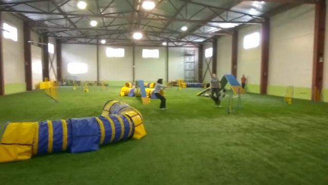 11 марта 2018 г.