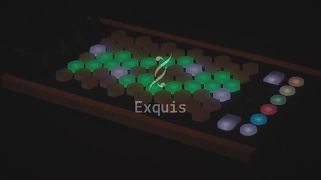 Intuitive Instruments Exquis (Prototype Deluxe)