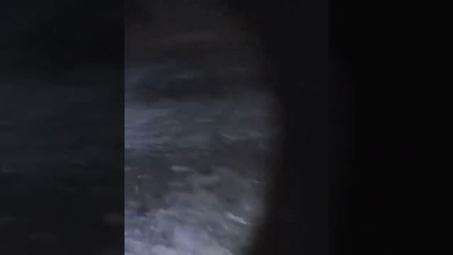 Молодой исследователь решил рассмотреть старое здание и встретился с его хозяйкой.